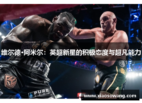 维尔德·阿米尔:英超新星的积极态度与超凡能力