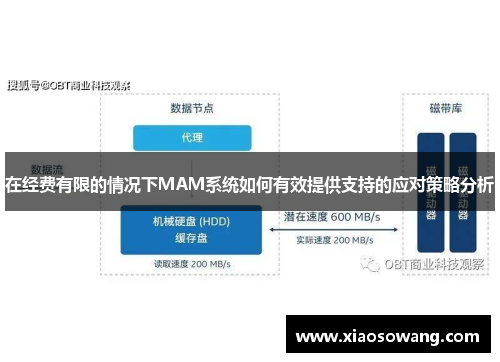 在经费有限的情况下MAM系统如何有效提供支持的应对策略分析