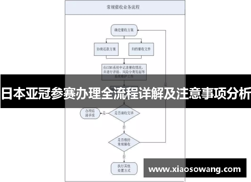 日本亚冠参赛办理全流程详解及注意事项分析