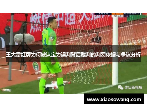王大雷红牌为何被认定为误判背后裁判的判罚依据与争议分析