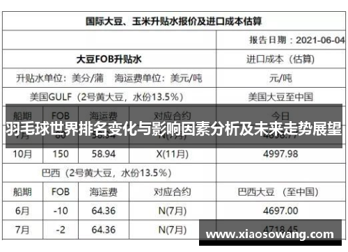 羽毛球世界排名变化与影响因素分析及未来走势展望