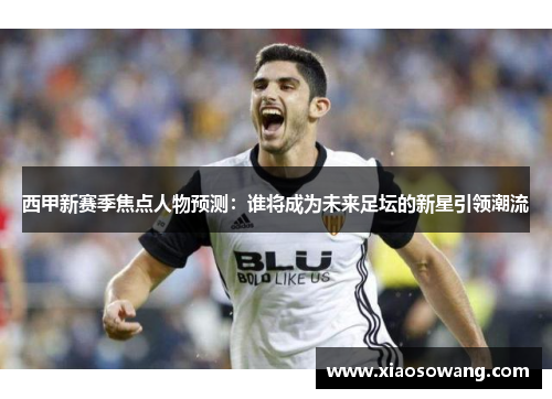 西甲新赛季焦点人物预测：谁将成为未来足坛的新星引领潮流