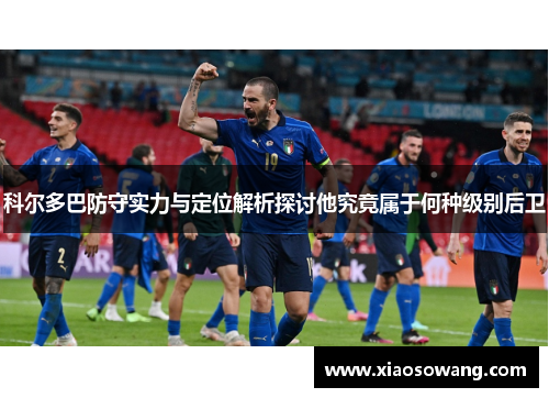 科尔多巴防守实力与定位解析探讨他究竟属于何种级别后卫