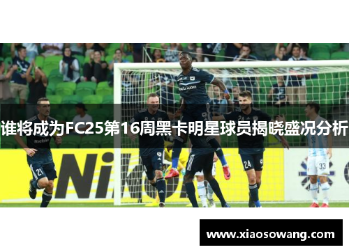 谁将成为FC25第16周黑卡明星球员揭晓盛况分析 谁将成为FC25第16周黑卡明星球员揭晓盛况分析
