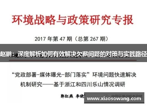 赵鹏：深度解析如何有效解决欠薪问题的对策与实践路径
